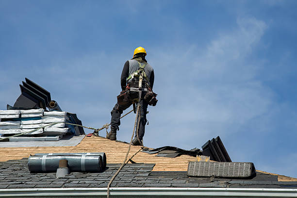 Professional Roof Repair technician working in Ionia, MI